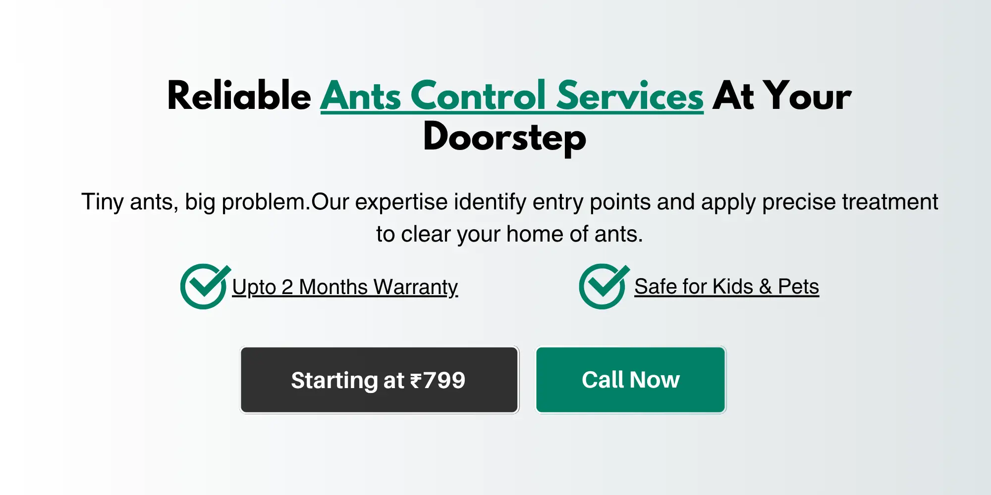 Ants Control Services