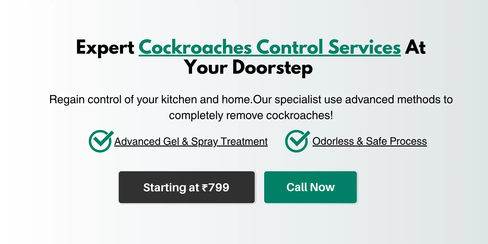 Cockroach Control Services